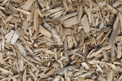 biomass boilers Whitelackington